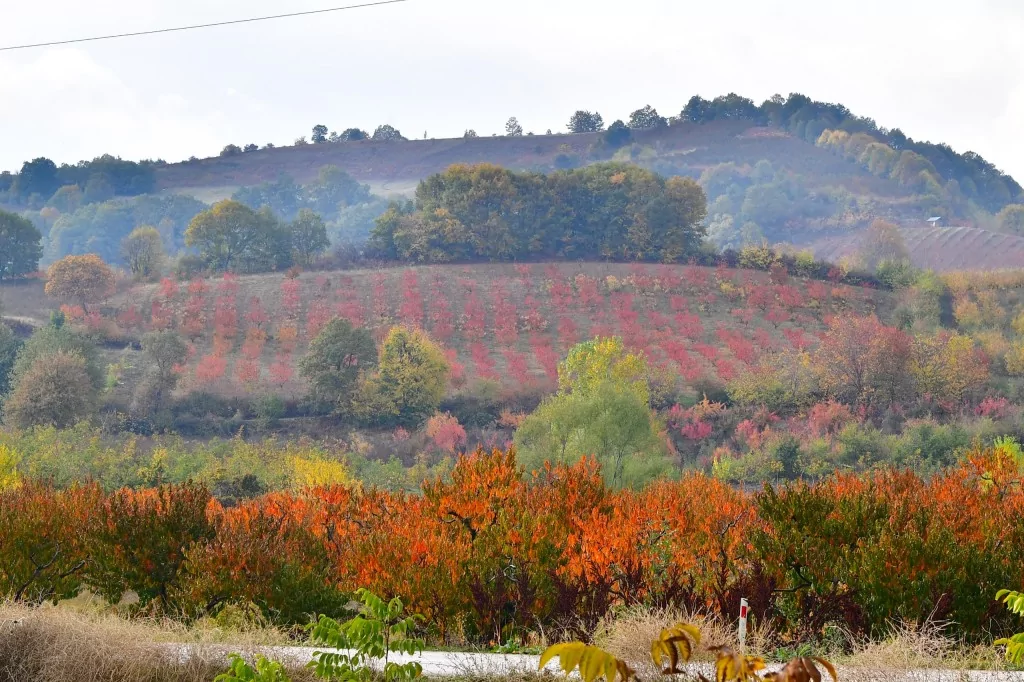 Bursa İnegöl'de sonbahar büyüledi