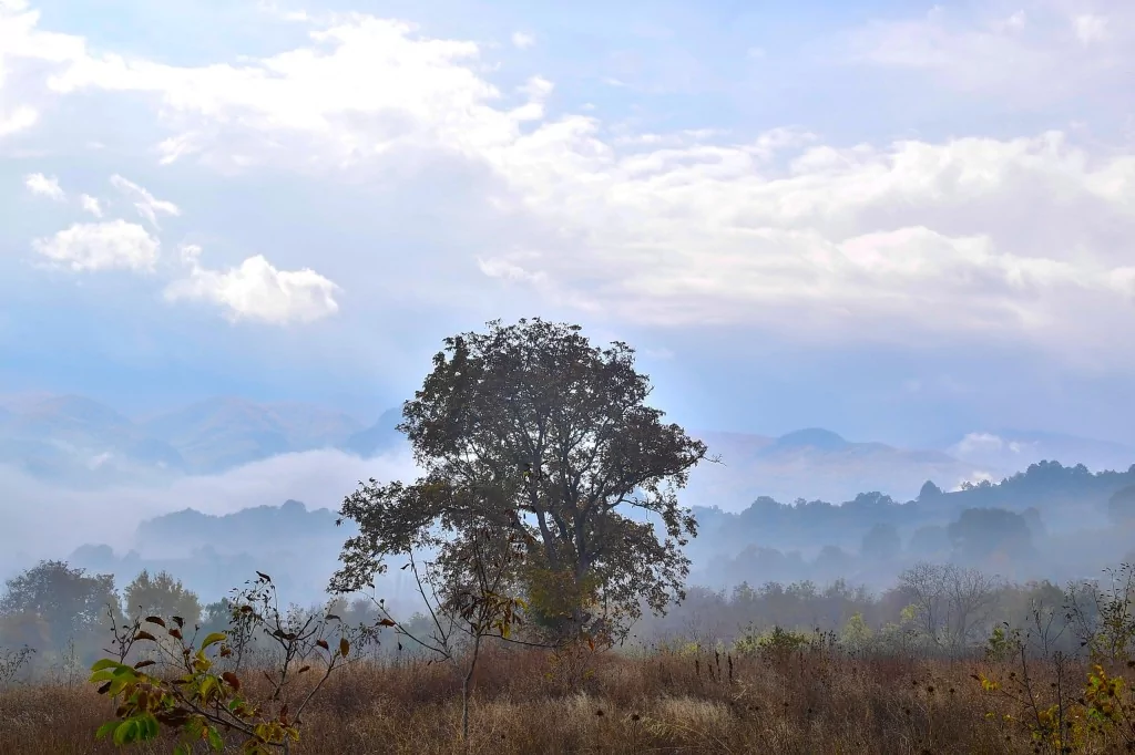Bursa İnegöl'de sonbahar büyüledi
