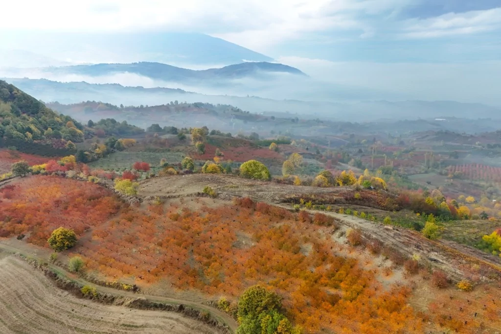 Bursa İnegöl'de sonbahar büyüledi