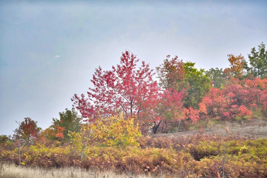 Bursa İnegöl'de sonbahar büyüledi