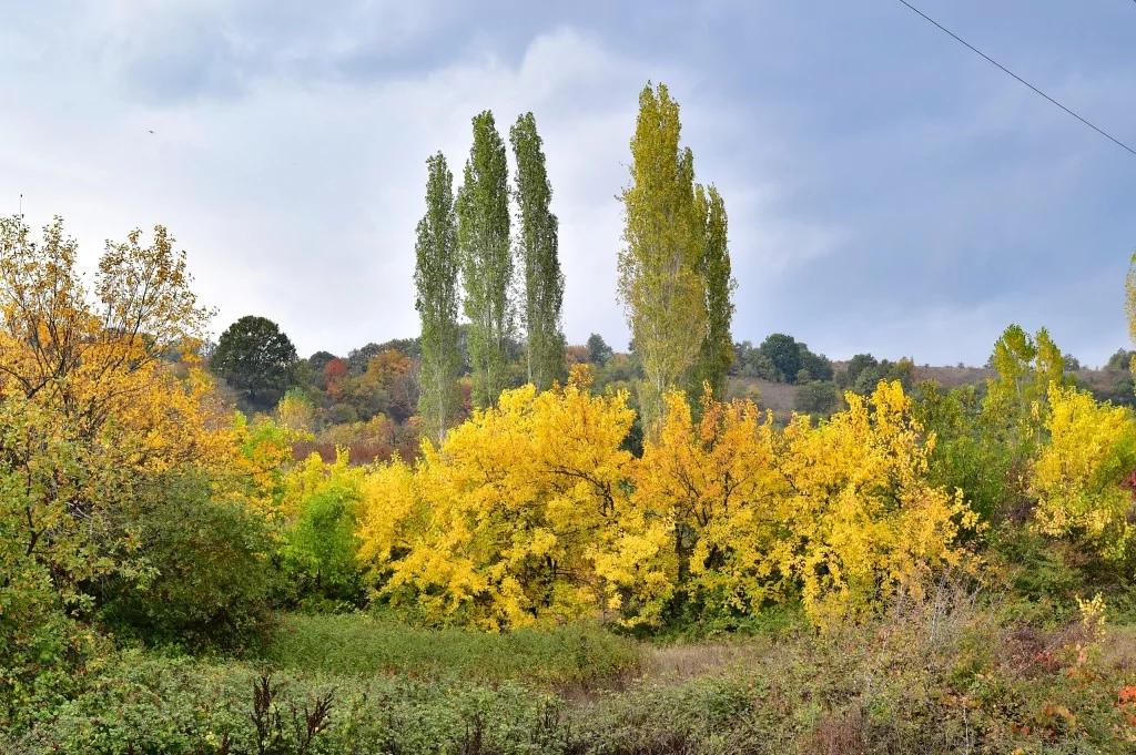 Bursa İnegöl'de sonbahar büyüledi