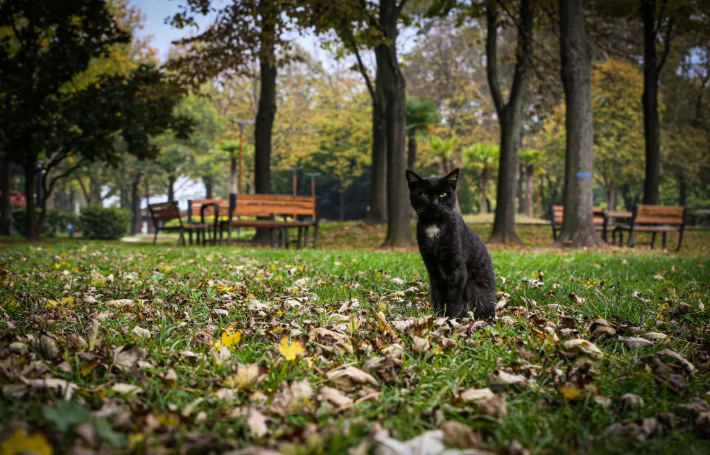 Bursa Botanik Park'ta renk cümbüşü ve doğal yaşam bir arada
