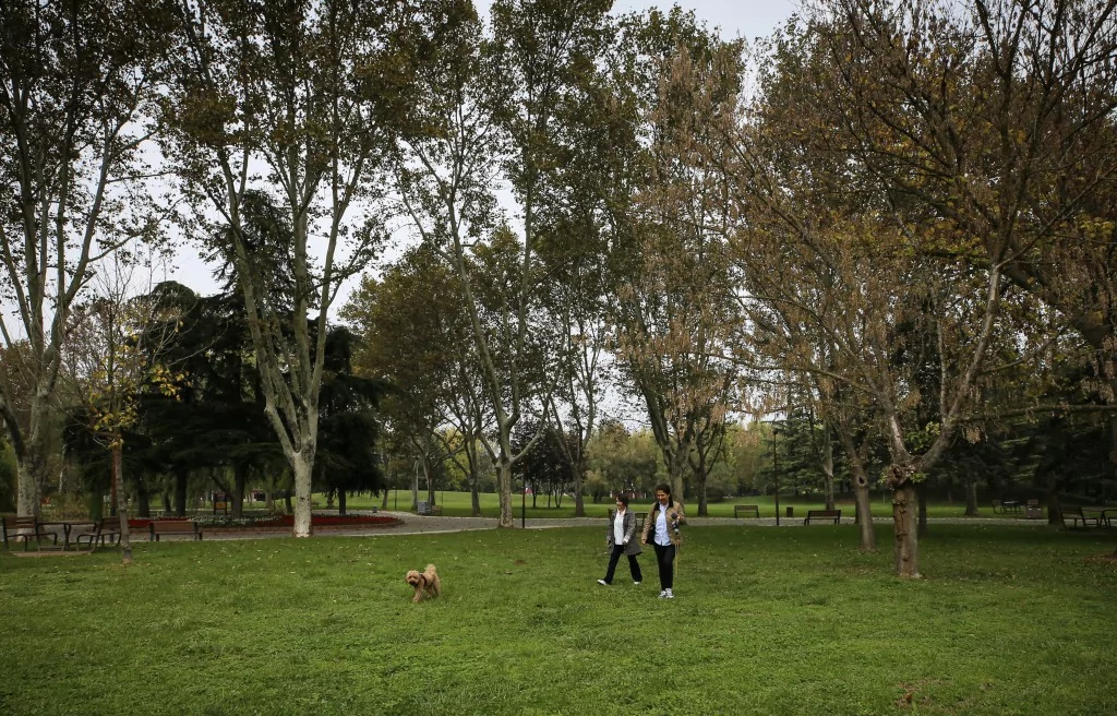Bursa Botanik Park'ta renk cümbüşü ve doğal yaşam bir arada