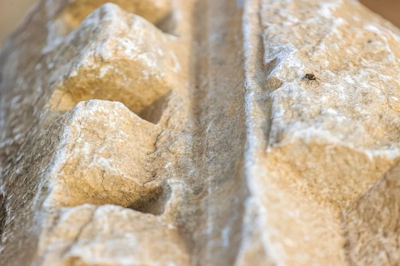 Bursa'da bin yıllık tiyatro gün yüzüne çıkıyor: Orijinal oturma sıraları 2 bin yıl sonra yerine konuyor