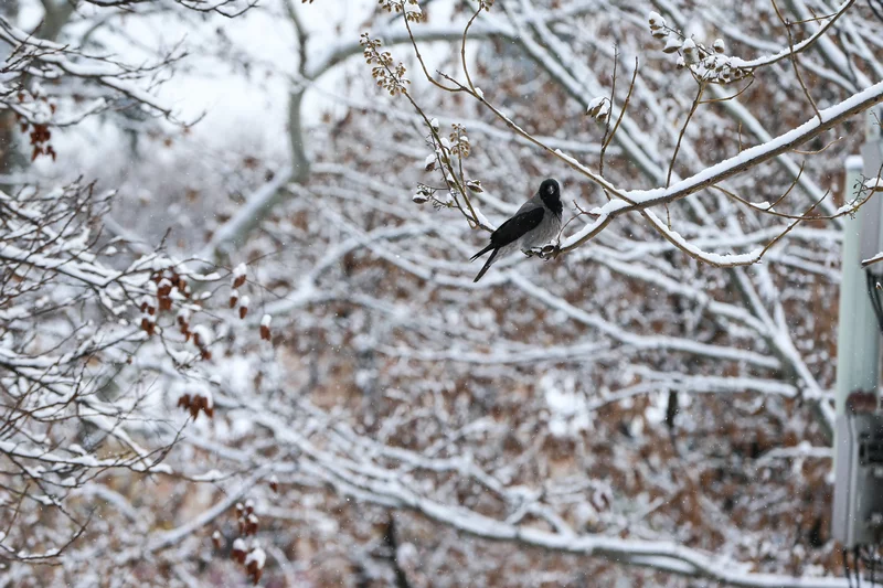 Bursa'da kar yağışı etkili oldu