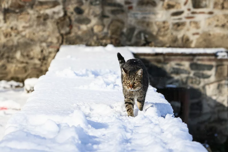 Bursa'da kar yağışı etkili oldu