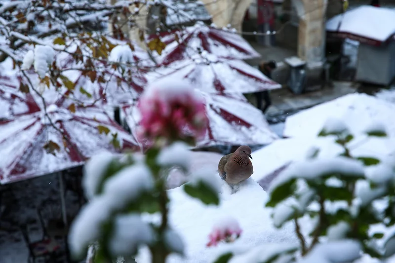 Bursa'da kar yağışı etkili oldu