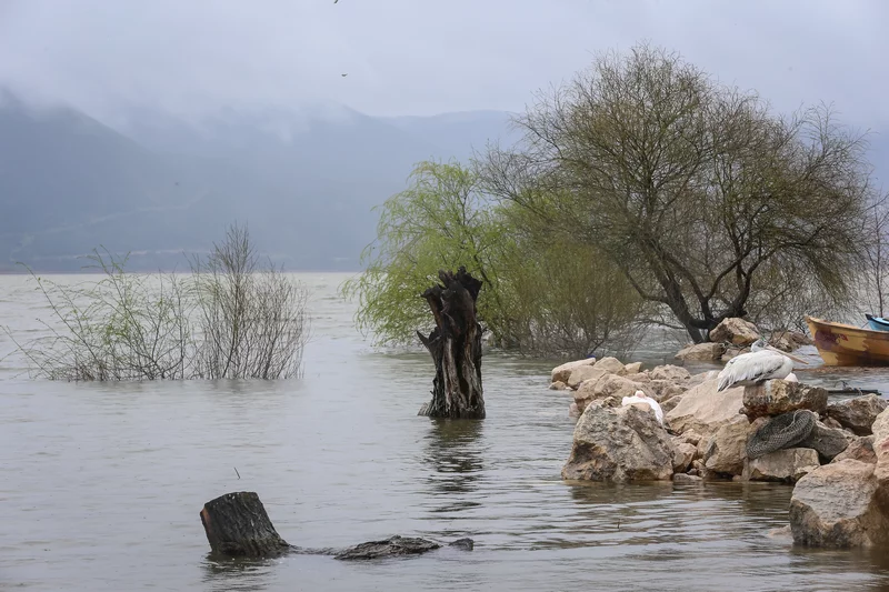 Bursa'da Uluabat Gölü'nün su seviyesi yükseldi