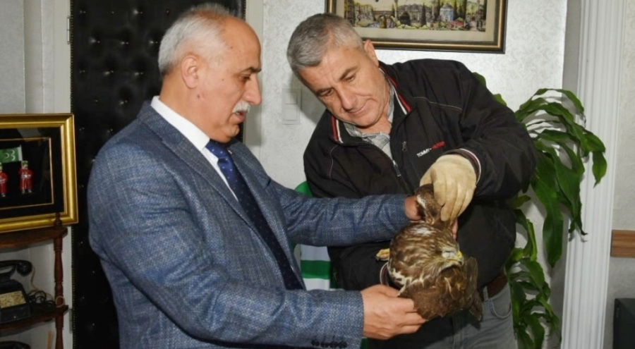 Bursa'da yaralı şahine Başkan Aydın sahip çıktı