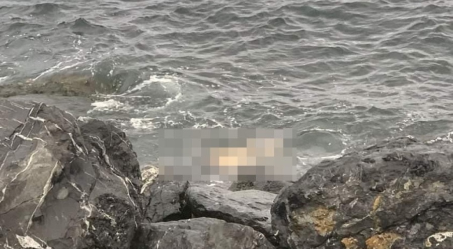 Yenikapı'da denizde ceset bulundu
