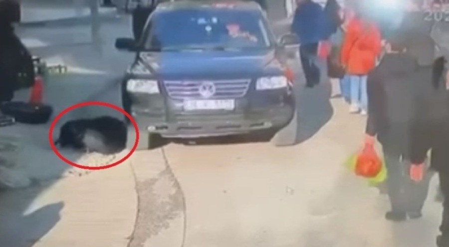 Bursa'da cip sürücüsü yaşlı kadına çarparak altına aldı!