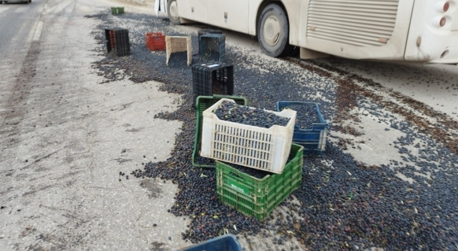 Bursa'da kaza! Zeytinler yola saçıldı