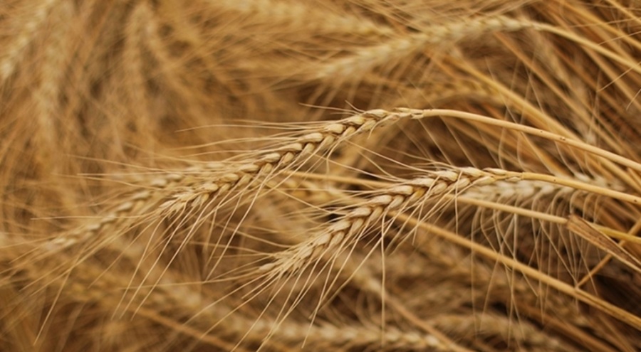 BM ve Rusya masada: Konu tahıl anlaşması