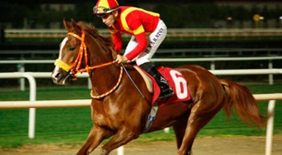 Halis Karataş'tan 7000'inci zafer