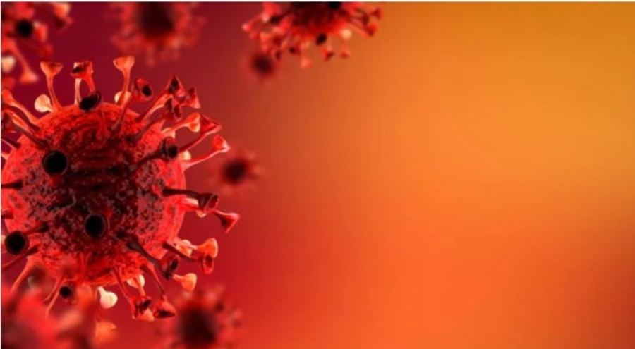 DSÖ'nün Çin endişesi! Bir milyondan fazla insan ölebilir!