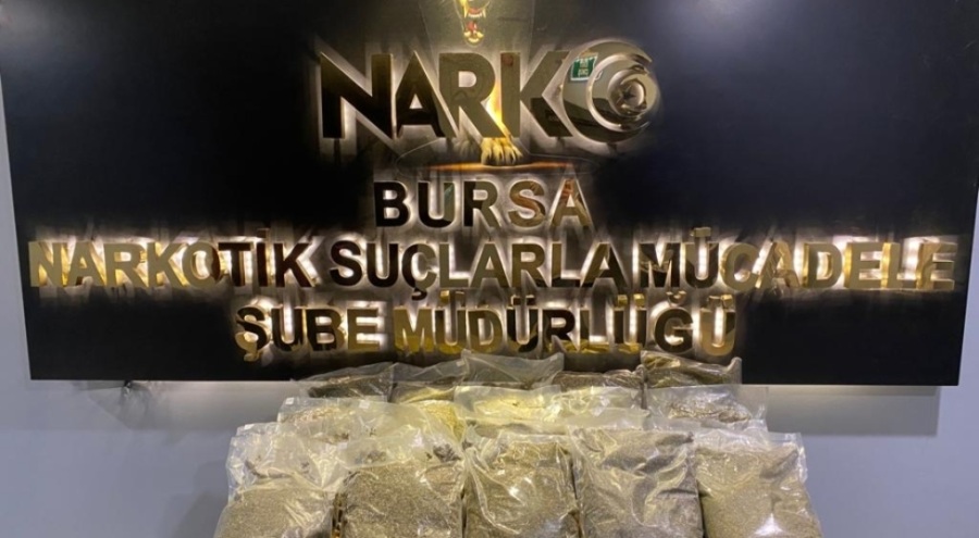 Bursa'da 20 kilo bonzai yakalandı