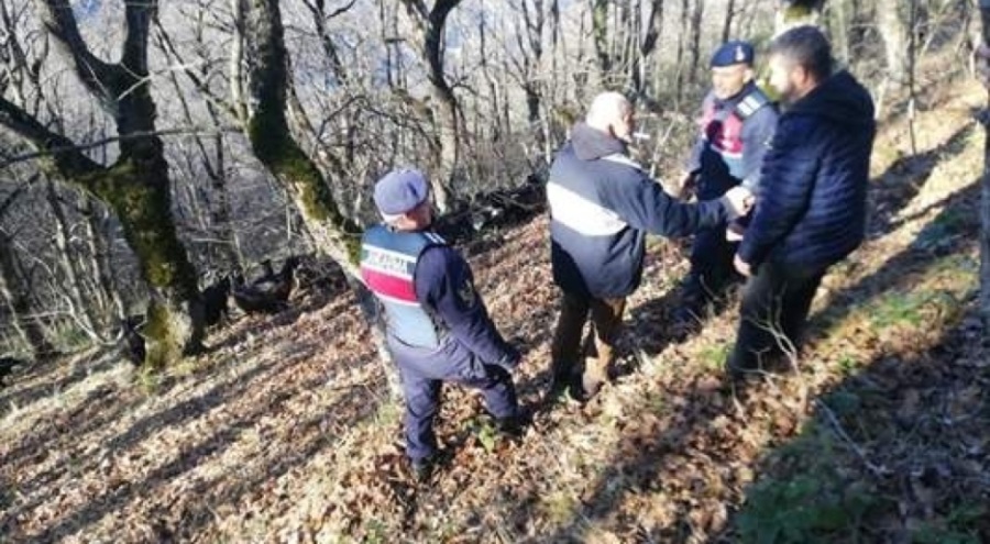 Bursa'da kaybolan sürüyü jandarma buldu