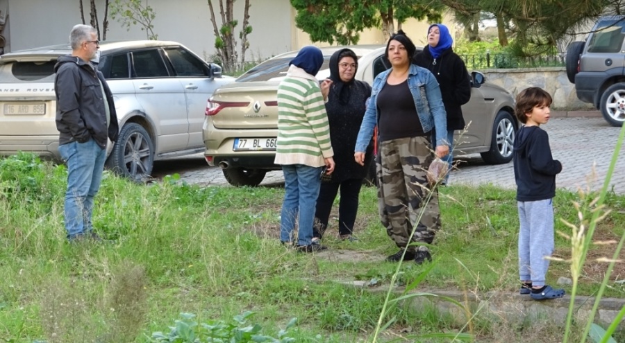 Bursa'da yavru köpeklere site sakinleri sahip çıktı
