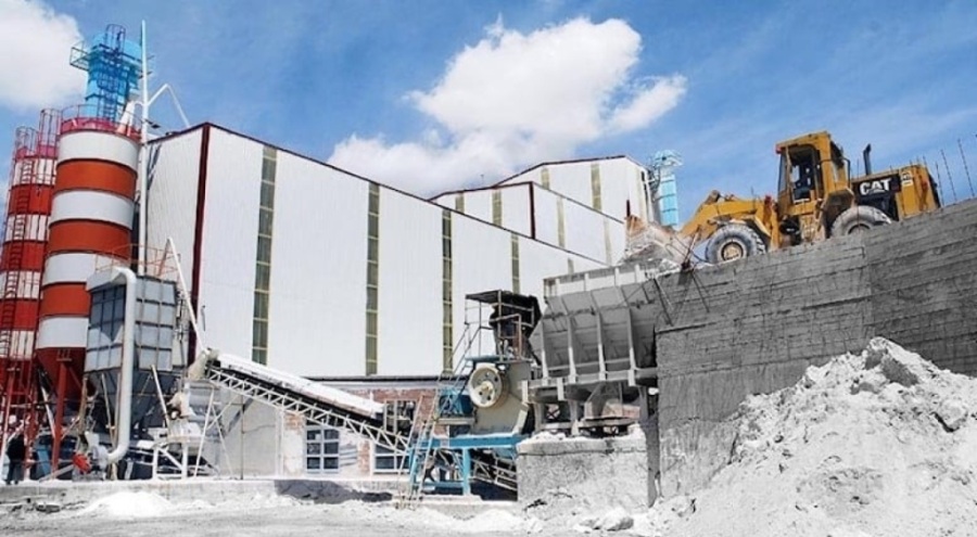 TMSF iki şirketi daha satıyor