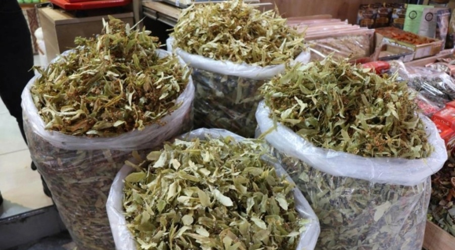 Kış aylarının vazgeçilmezi ıhlamurun kilosu 400 lirayı buldu