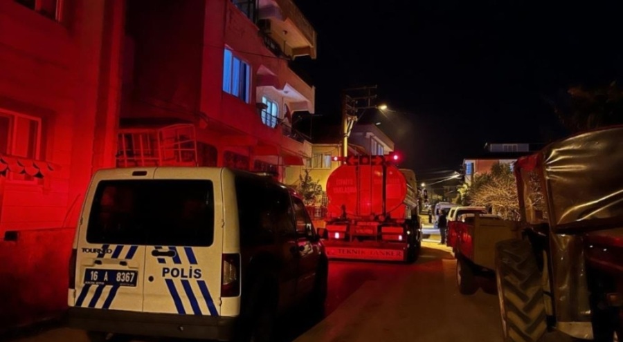 Bursa'da İznik'te çıkan yangın korku yaşattı