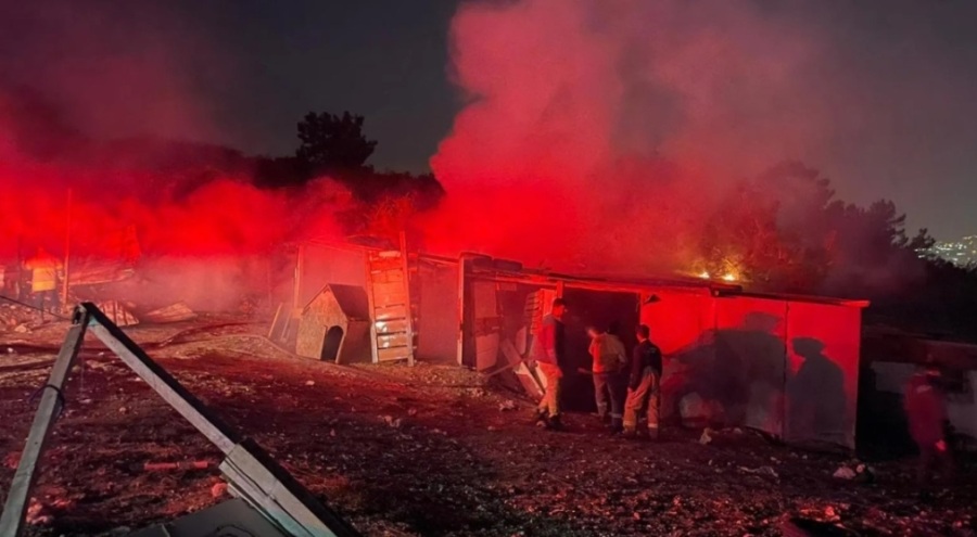 İzmir'de ormanlık alanda yangın