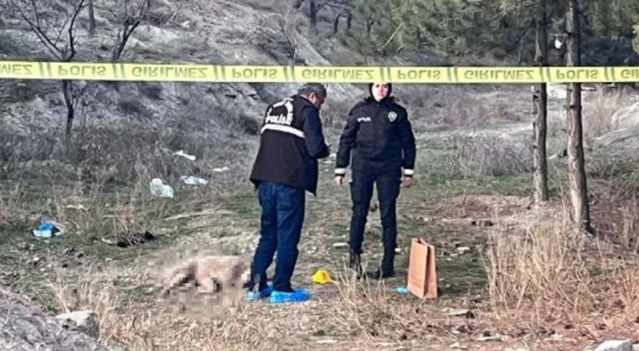 Ankara'da 4 köpek tüfekle vurularak öldürüldü