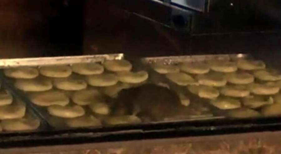 Yiyeceklerin üzerinde fare gezen işletme kapatıldı