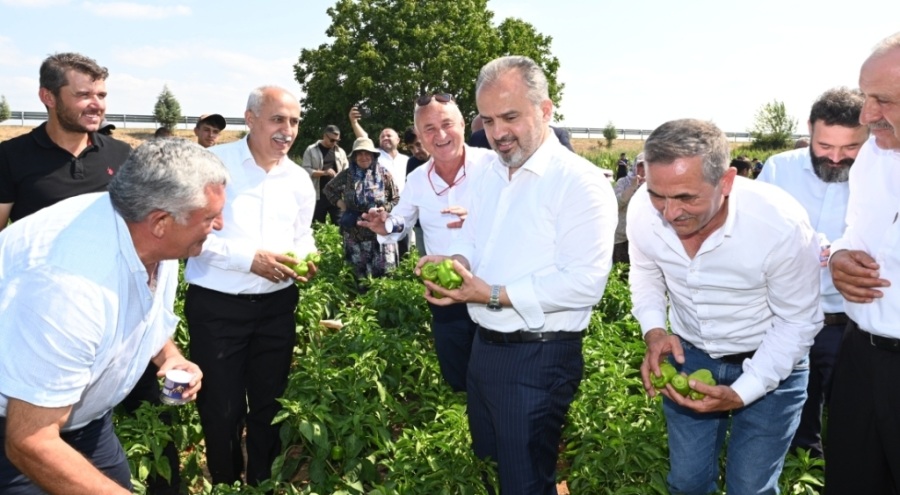 Bursa Büyükşehir Belediyesi'nden çiftçilere fidan ve tohum desteği