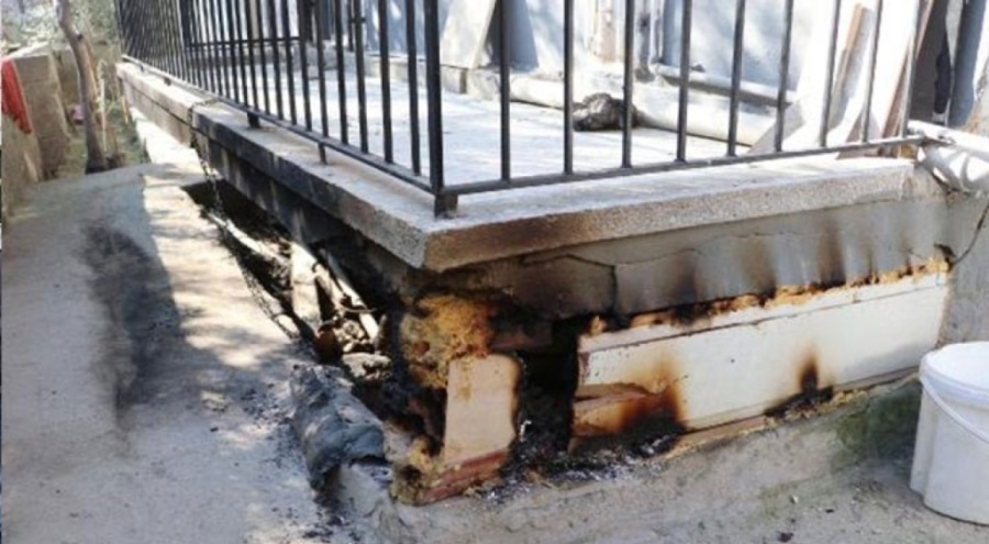 Kulübesinde bağlı olan köpeği katlettiler