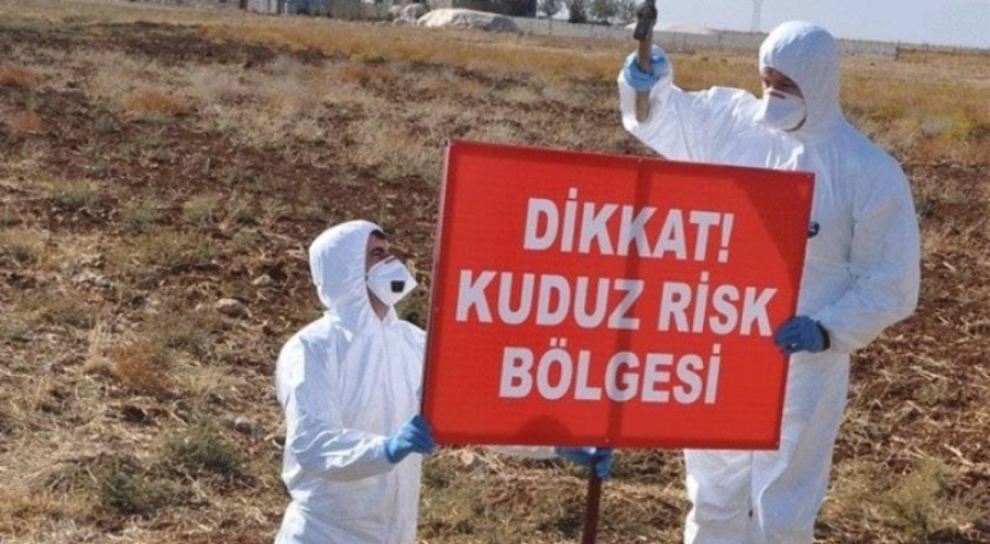 Tunceli'nin Hozat ilçesine kuduz karantinası