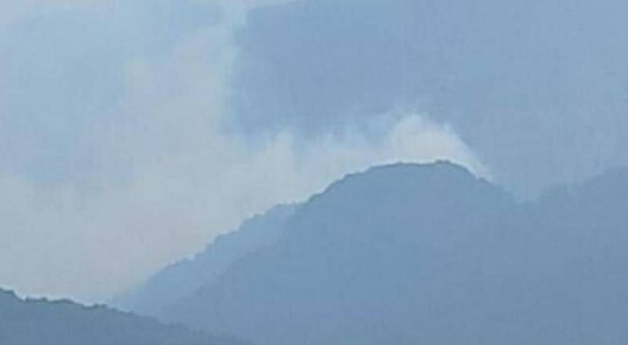 Denizli'de kuvvetli rüzgar orman yangınına sebep oldu