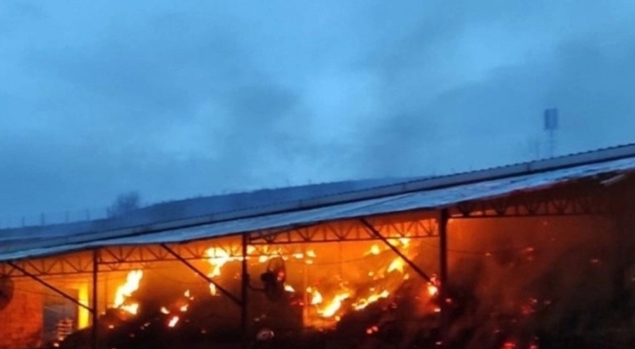 Çatalca'da yangın! Hayvanlar telef oldu