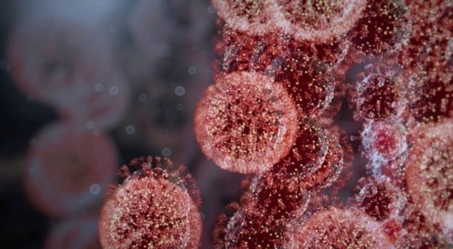 Bilim Kurulu Üyesi açıkladı: Kraken varyantı Türkiye'de baskın hale gelebilir