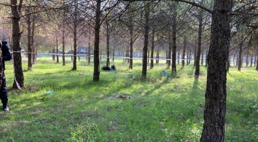 İzmir'de 22 yaşındaki genç ormanda ölü bulundu