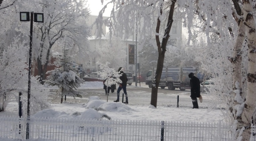 Doğu Anadolu buz kesti!