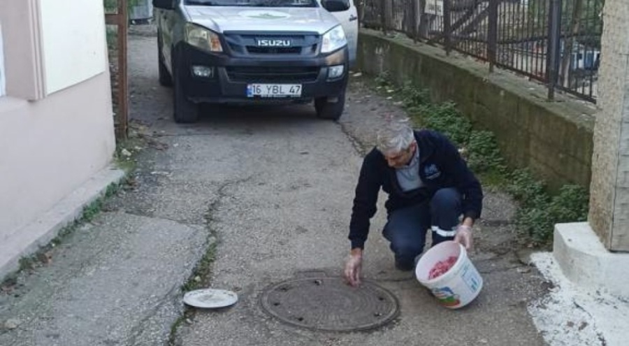 Osmangazi'de haşerelere karşı ilaçlama