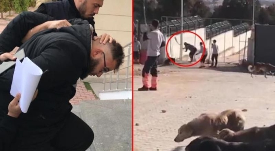 Köpeğin kürekle öldürülmesinde 2 sanığın tahliyesine itiraza yine ret