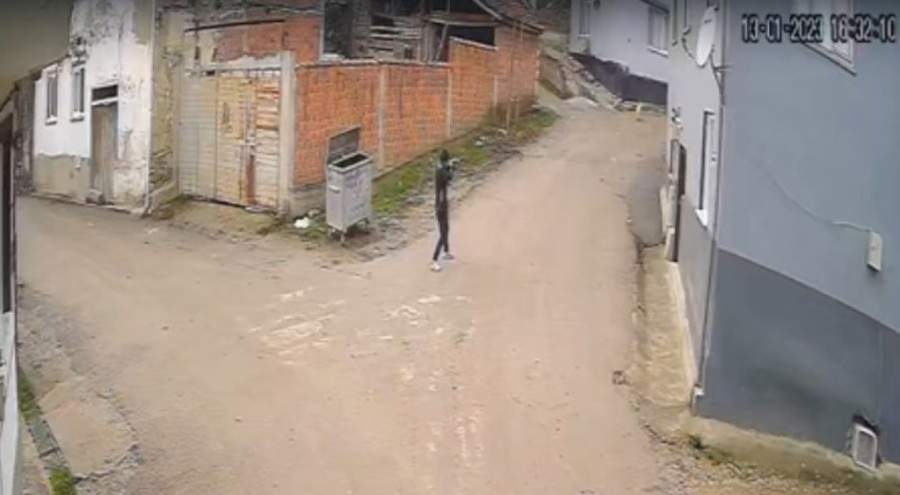 Bursa'da av tüfeği ile köpeği öldürdü