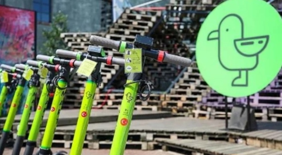 Martı, İstanbul Büyükşehir Belediyesi ile anlaştı