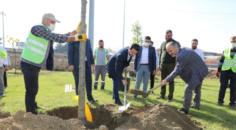 'Yeniden yeşil Bursa' hedefi sürüyor