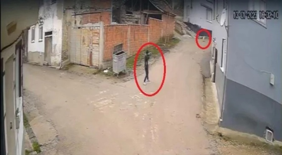 Bursa'da pompalı tüfekle köpeği öldüren cani yakalandı!