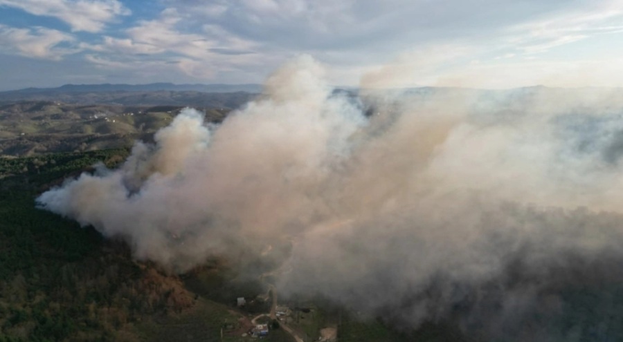 Sakarya'da orman yangını