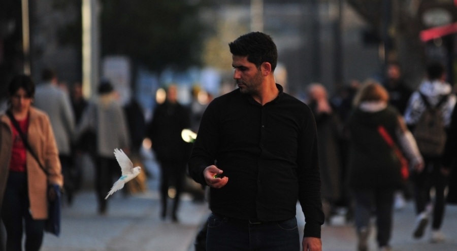 Bursa'da her yere muhabbet kuşu ile gidiyor