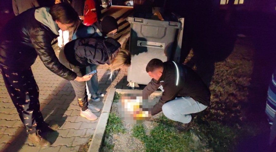 Bursa polisi o caniyi arıyor! Kedileri sırayla öldürmüş