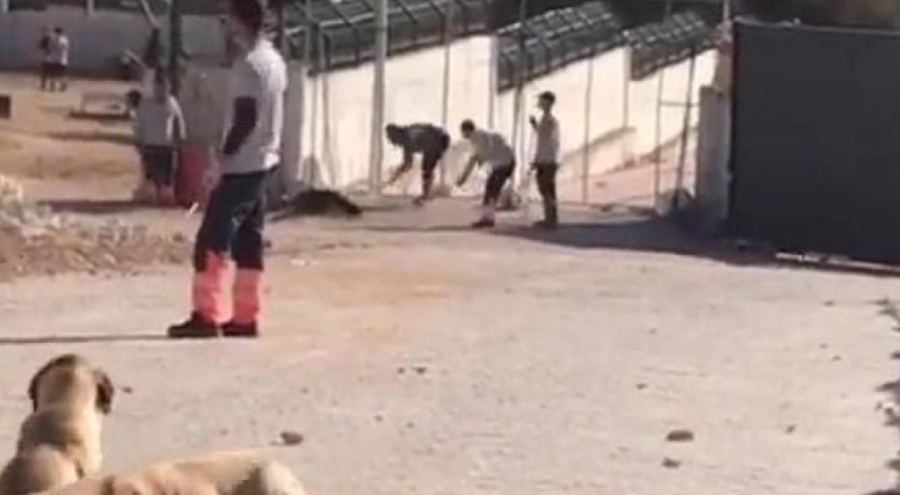 Konya'daki barınak katliamına verilen cezaya savcılıktan itiraz