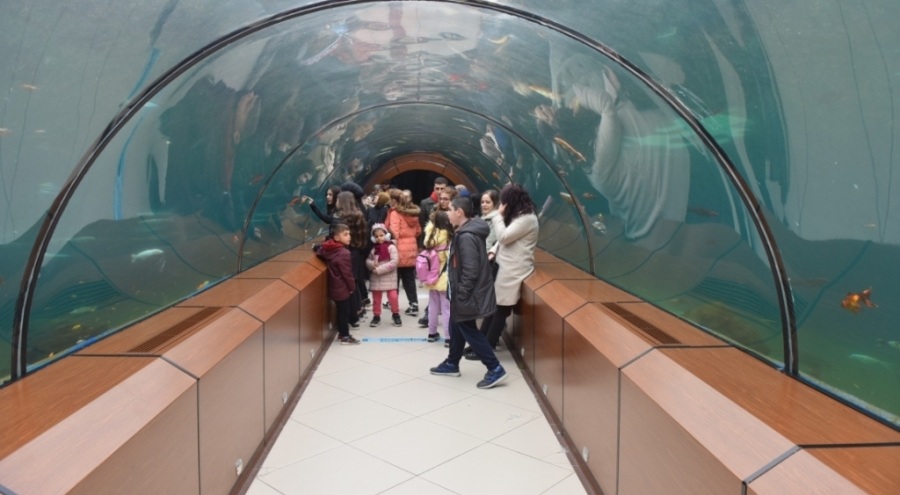 Bursa'da  Cazibe Merkezi Tünel Akvaryumu sömestir boyunca ücretsiz