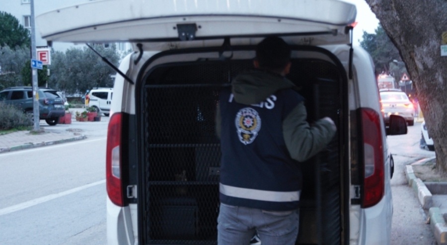 Bursa'da hırsızlık operasyonu