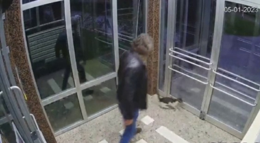 Tepki çeken görüntüler: Kediyi tekmeleyerek dövdü