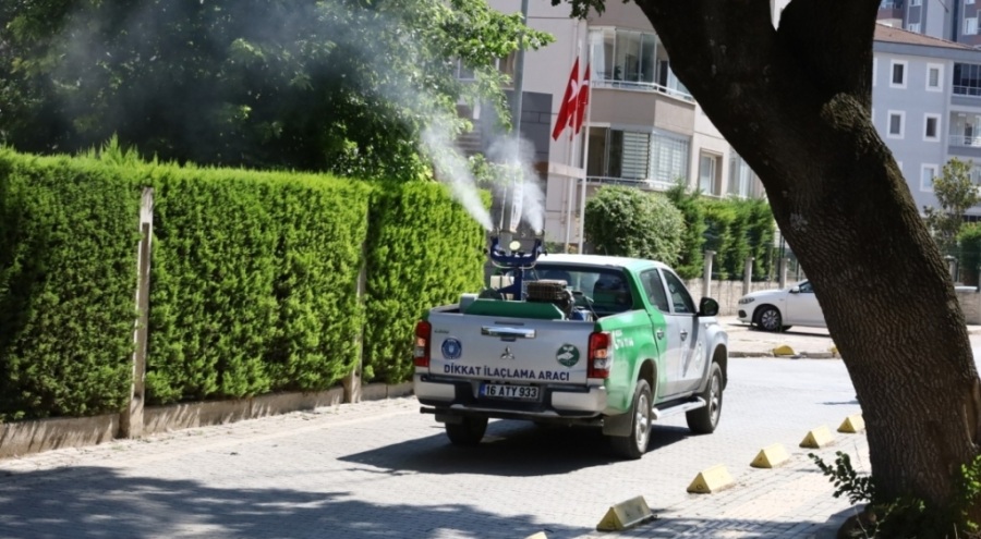 Bursa Büyükşehir Belediyesi sinekle mücadele için labaratuvar kurdu